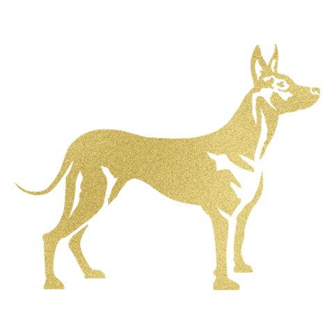 Inmobiliaria Sticker by XOLO Real Estate