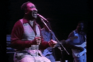 live GIF by Muddy Waters