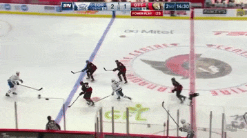 Tj Brodie GIF
