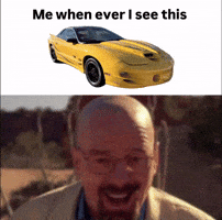 Trans Am Pontiac GIF