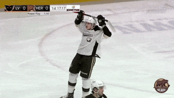 Frustrated GIF by Hershey Bears