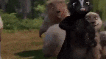 Over The Hedge GIF