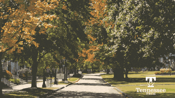 Fall Leaves GIF by Tennessee Tech University