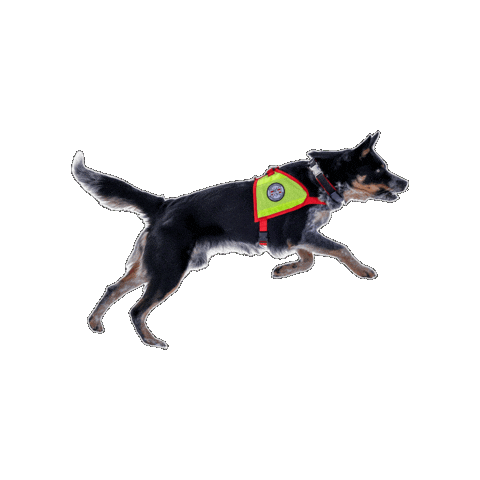 Rettungshund Sticker by Österreichische Rettungshundebrigade