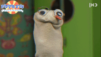 Socks Wikisocks GIF by Garbaim