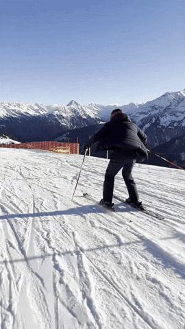 Lieblingsfettsack GIF