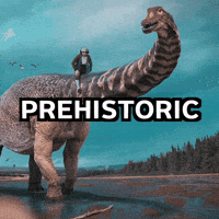 historic-prehistoric-prehistorical-tIbrQIKPQTKanpHcrB