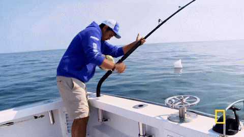 Giphy - Wicked Tuna Fishing GIF by National Geographic Channel