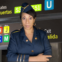 Recognize Air Marshal GIF by Holly Logan