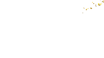 Gold Celebrating Sticker by webvid