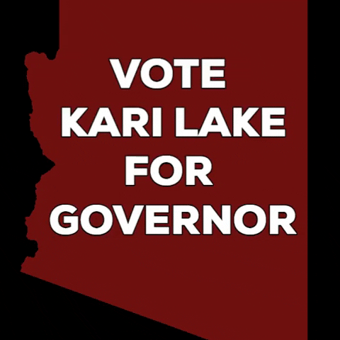 KariLake trump vote politics lake GIF