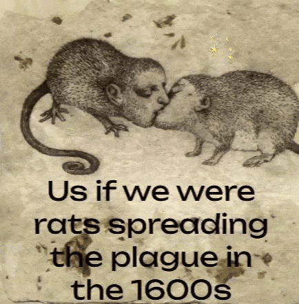 Rats GIF