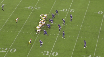 Packers GIF