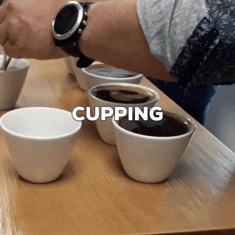 Terra Etica GIF
