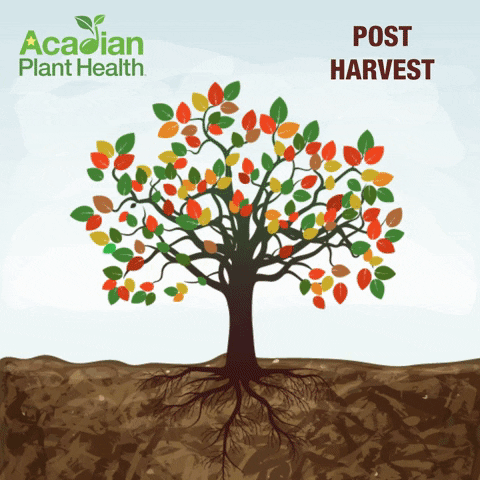 GIF by Acadian Plant Health