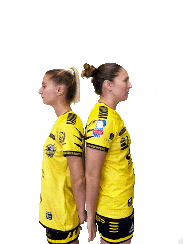 HANDBALL PLAN DE CUQUES Sticker
