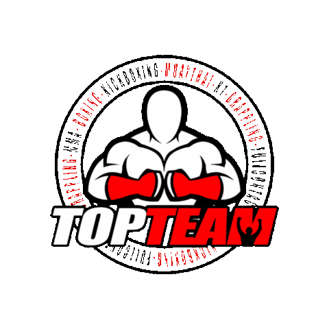 topteamff Sticker