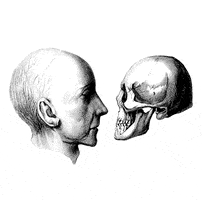 vintage anatomy GIF by G1ft3d