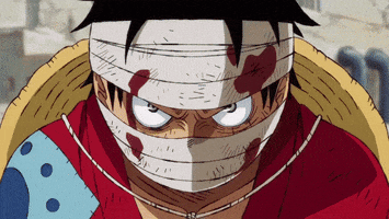 Angry One Piece GIF by Toei Animation