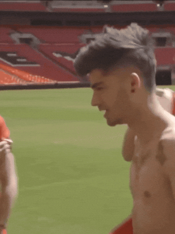 Zaynchile Zquadcl GIF