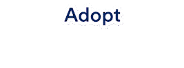 Pets Adopt Sticker by Petco Love