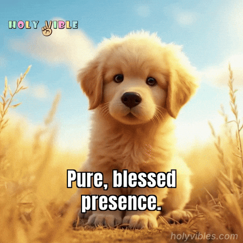Peace Presence GIF by Holy Vibles
