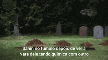 Serayando GIF