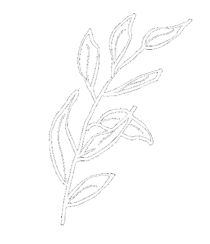 花 Black And White Sticker