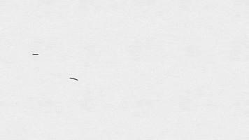 Sonwil Logistics & Transportation GIF