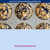 Blueberry GIF