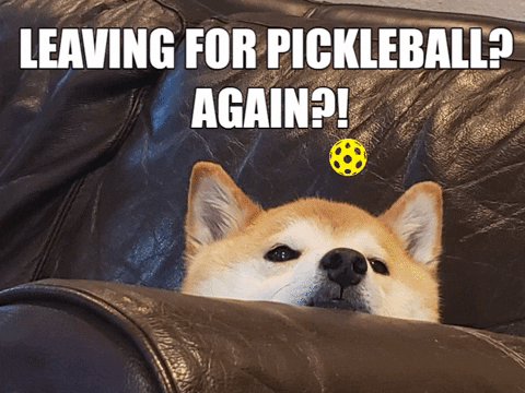 Shiba Pickleball GIF - Find & Share on GIPHY