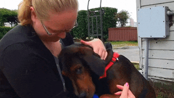 kimrosejohnson  GIF