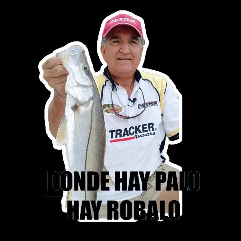 Pedro Sors GIF