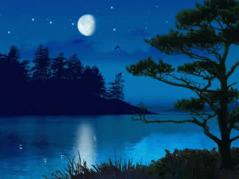 Lake GIF - Find & Share on GIPHY