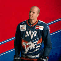 Sport Del GIF by Adler Mannheim