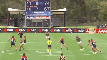 Melbourne Football Club Spin GIF by Melbournefc