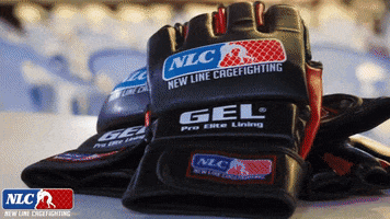 Lets Fight Fighting GIF by New Line Cagefighting