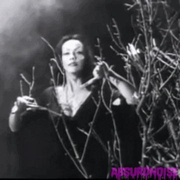 plan 9 from outer space vintage horror GIF by absurdnoise