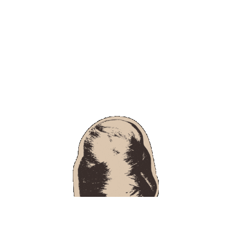 Band Dolls Sticker by KewpieDolls