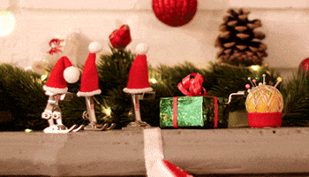 BERNINA International AG GIF