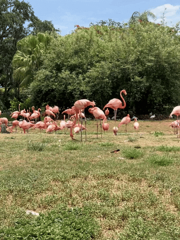 Mechanical One GIF