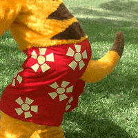 Mascot Wiggle GIF by TY the Tasmanian Tiger