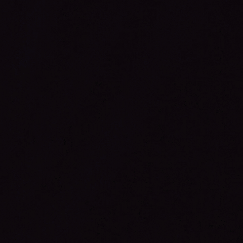 Reflect GIF
