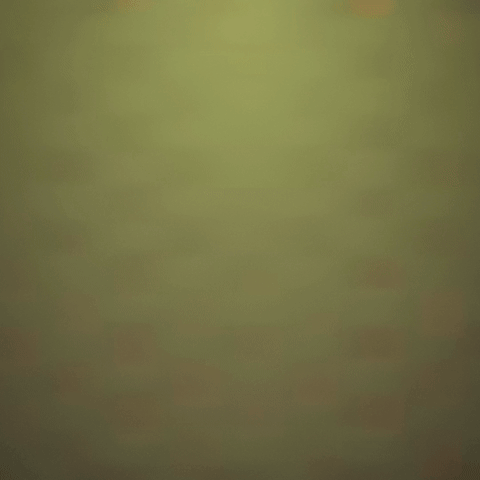Animation GIF