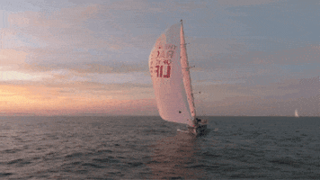 Sunset Sailing GIF by Clipper Round the World Yacht Race