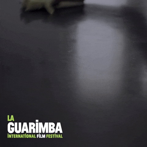 Tidying Up Whatever GIF by La Guarimba Film Festival