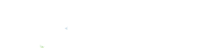 Radixdent Sticker
