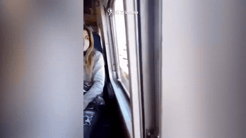 El Tribuno GIF