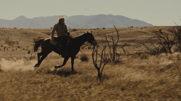Horseback Riding Horse GIF by Midland
