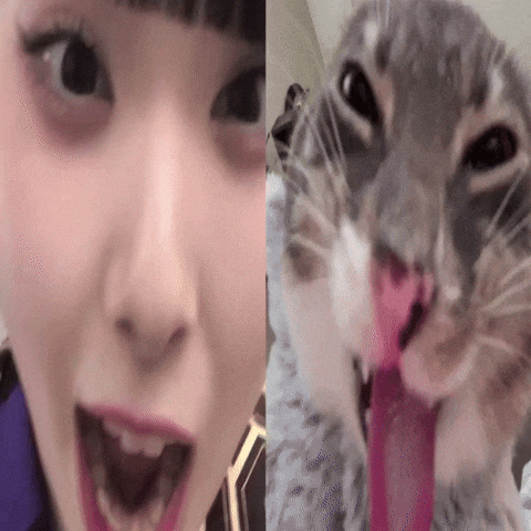 Phantom Siita GIF
